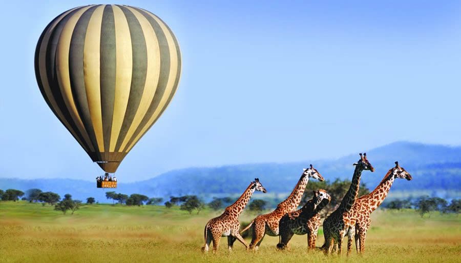 serengetihotairballoonsafari